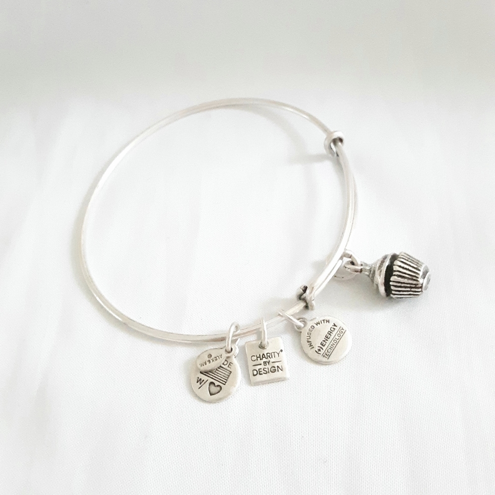 Alex and Ani Cupcake silver Charms Bracelet adjustable Size